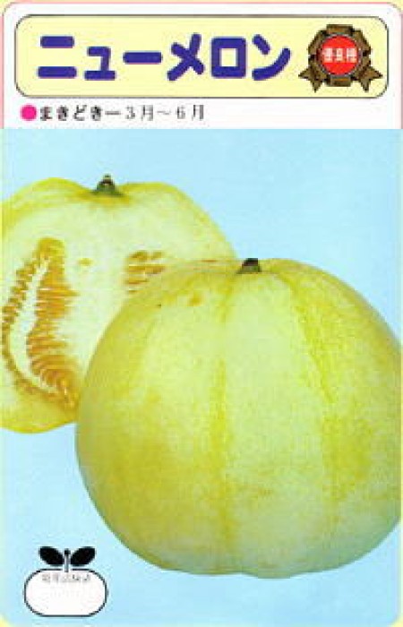 青皮みずほ系ニューメロン | 100円野菜種子販売 信州地方野菜の種 信州