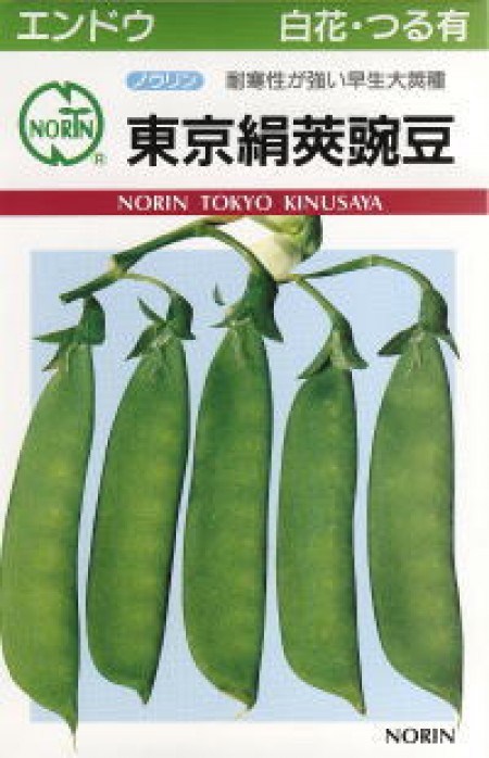 絹莢白花豌豆(キヌサヤエンドウ) | 100円野菜種子販売 信州地方野菜の