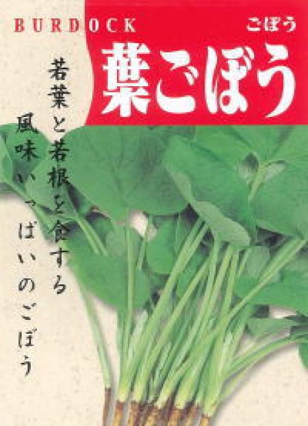 葉牛蒡(ハゴボウ) | 100円野菜種子販売 信州地方野菜の種 信州山峡採種場