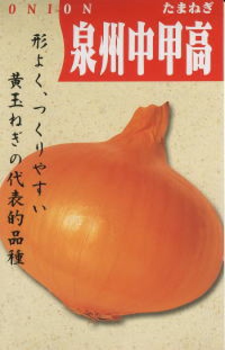 泉州中甲高黄玉葱(せんしゅうちゅうこうだかき たまねぎ) | 100円野菜 