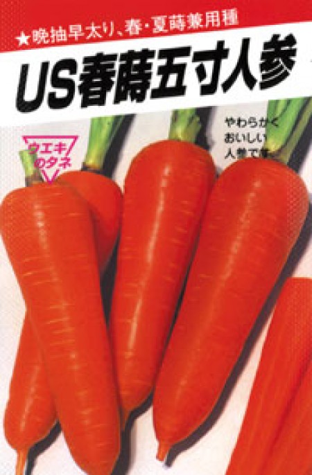 US春蒔5寸人参(ハルマキゴスンニンジン) | 100円野菜種子販売 信州地方