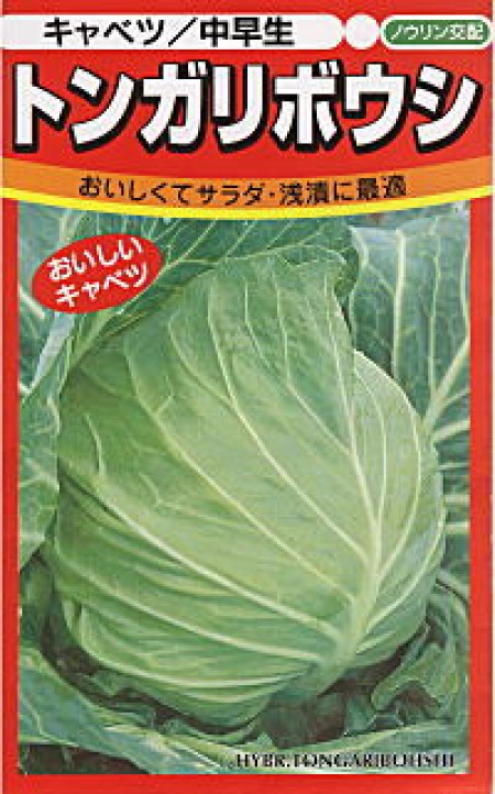 キャベツ とんがりぼうし | 100円野菜種子販売 信州地方野菜の種 信州