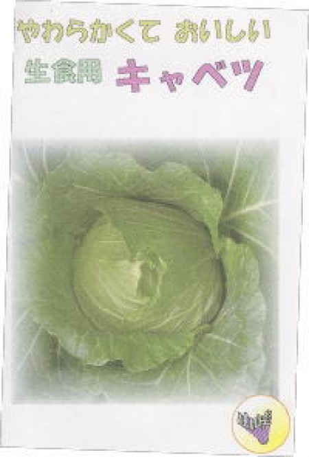 おいしいキャベツ | 100円野菜種子販売 信州地方野菜の種 信州山峡採種場