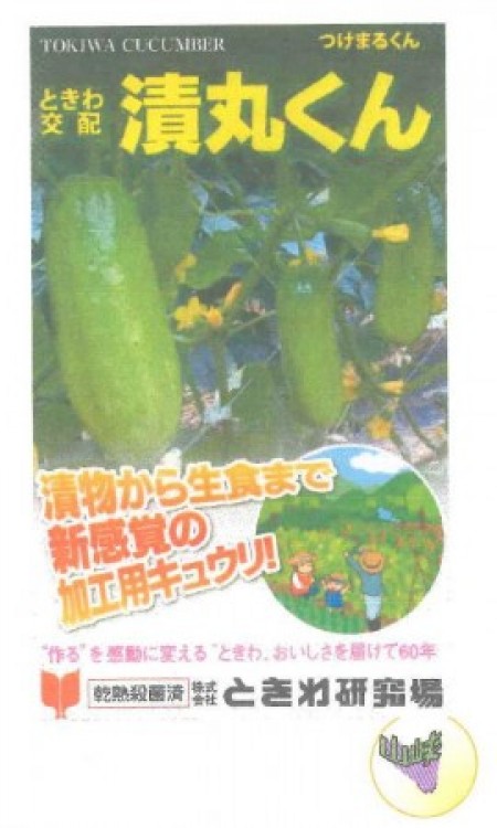 漬丸くん(つけまる君 キュウリ) | 100円野菜種子販売 信州地方野菜の種 