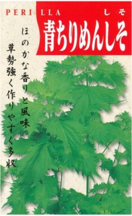 青ちりめんしそ(あお縮緬紫蘇) | 100円野菜種子販売 信州地方野菜の種